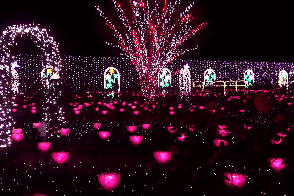 ashikaga-flower-park2